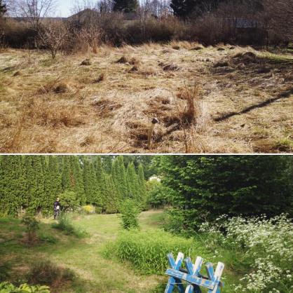 13391396_10153607343531828_775969651427826307_o